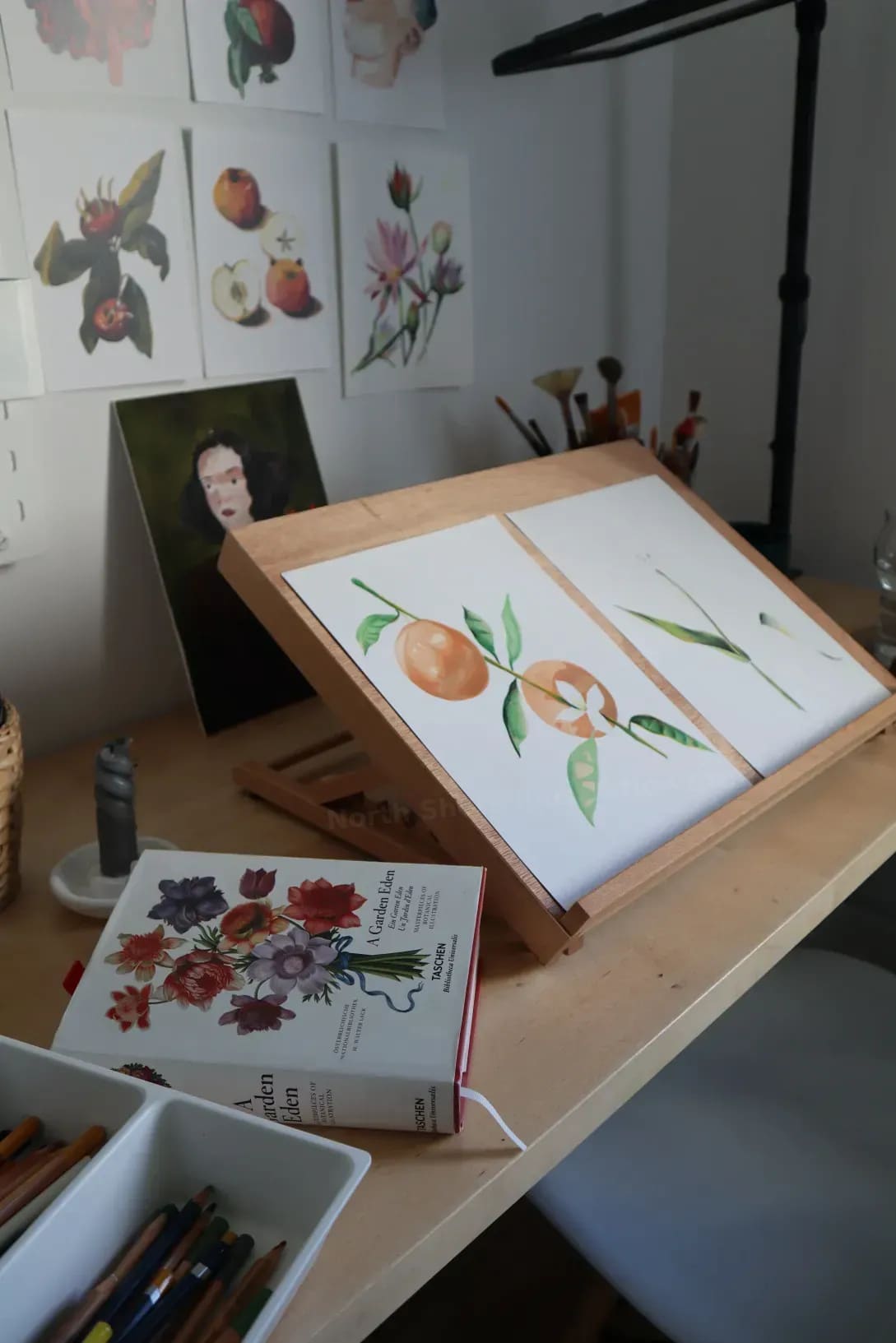 North Shore Illustration Studio 11