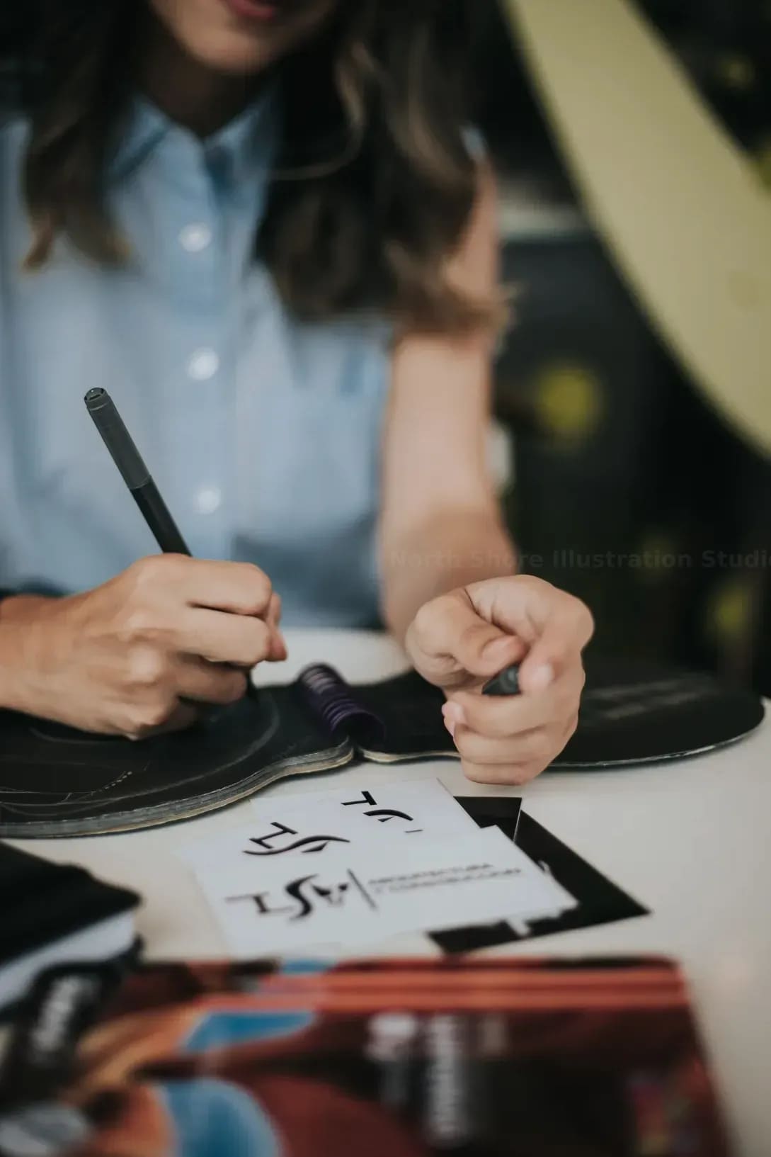 North Shore Illustration Studio 12