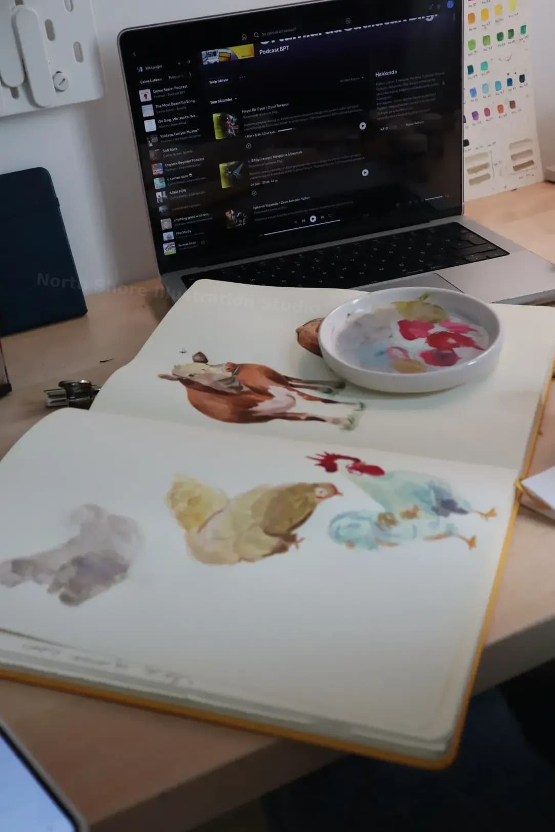 North Shore Illustration Studio 3