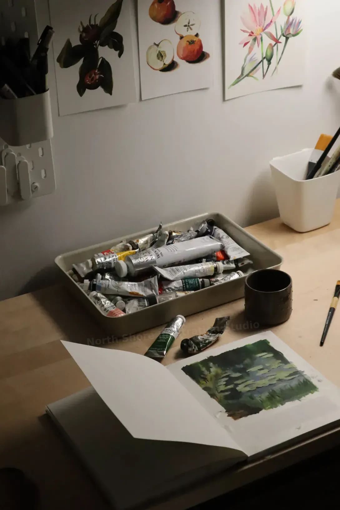 North Shore Illustration Studio 7