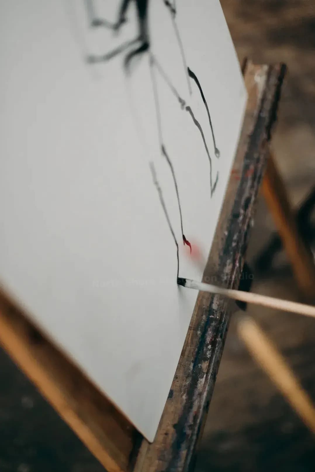 North Shore Illustration Studio 8