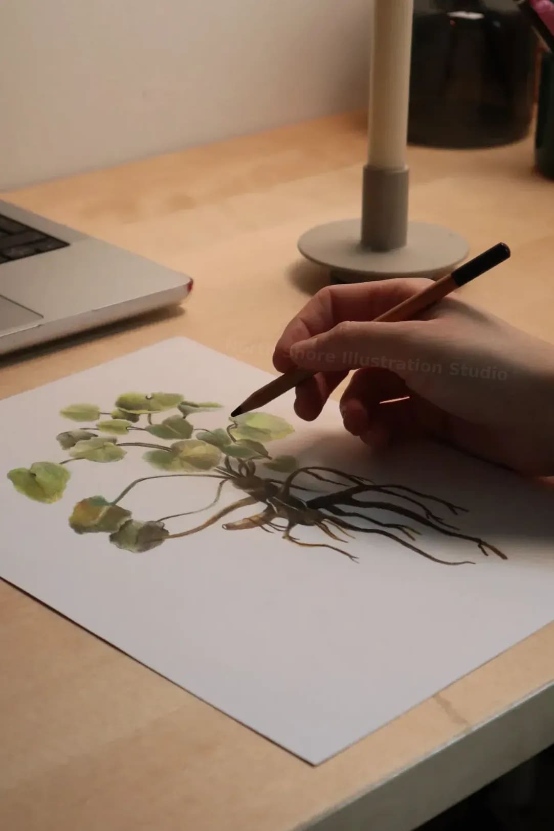 Packaging artwork and label visuals